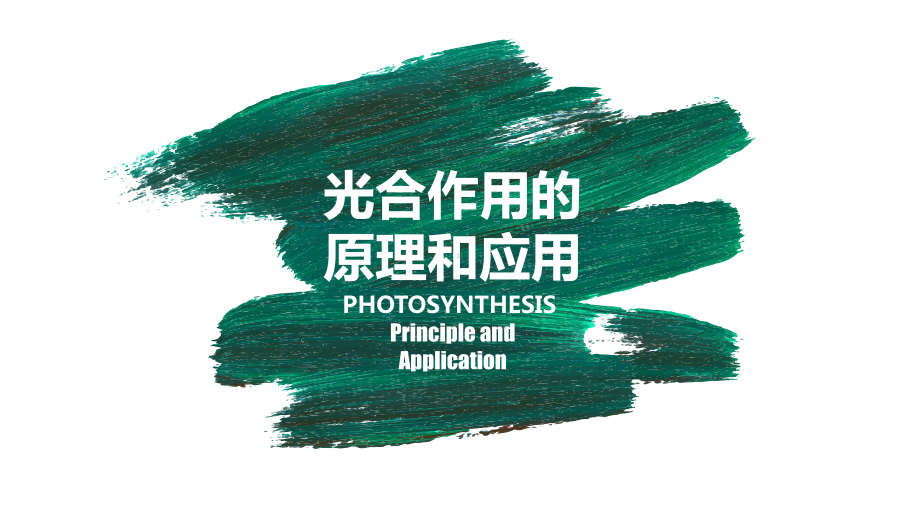 5.4.2 光合作用与能量转换 ppt课件-（新教材）2019新人教版高中生物必修一.pptx_第1页