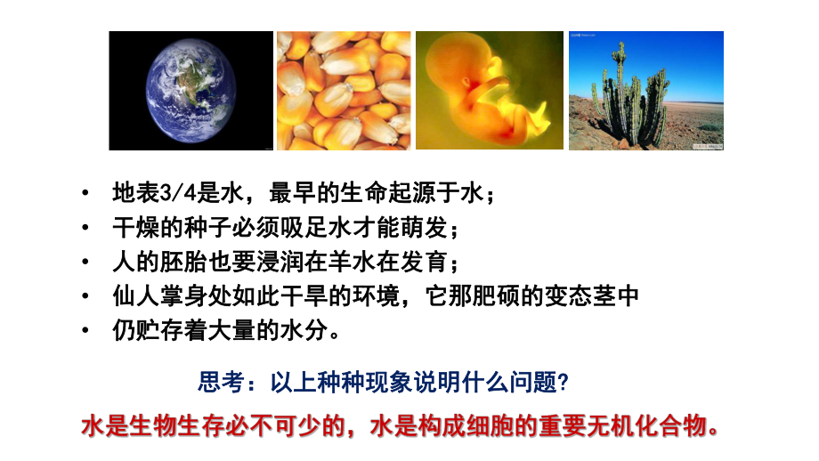 2.2 细胞中的无机物ppt课件-（新教材）2019新人教版高中生物必修一.pptx_第3页