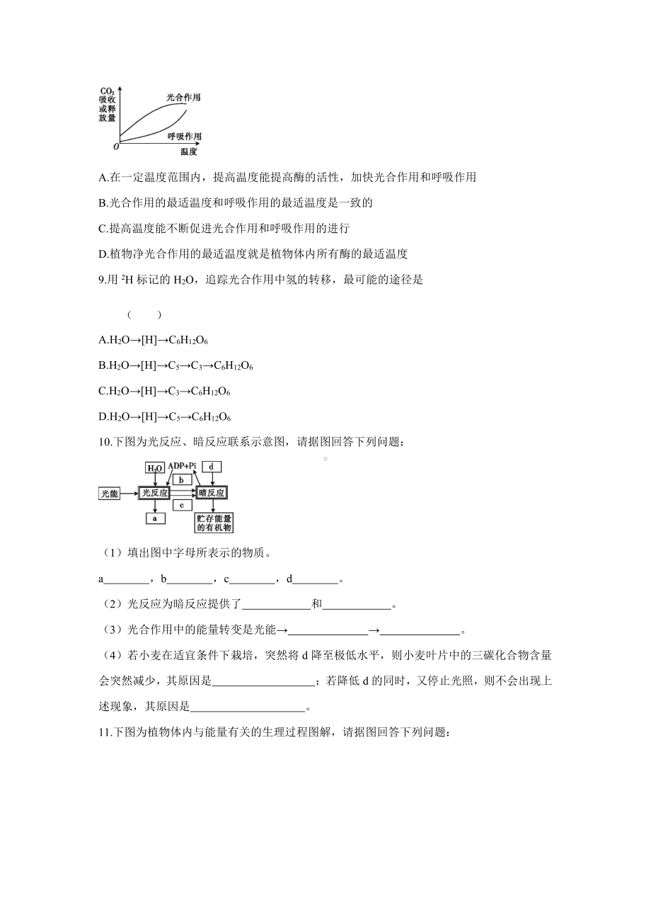 （新教材）2019新人教版高中生物必修一5.4 光合作用与能量转化第2课时（一）同步练习.docx_第3页