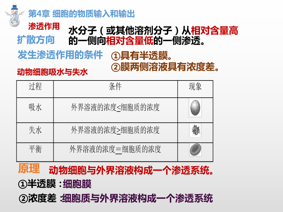 第四、五、六章 期末复习课件（新教材）2020-2021学年高一上学期生物（人教版（2019）必修第一册）.pptx_第2页