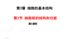 3.3 细胞核的结构和功能（2课时） ppt课件-（新教材）2019新人教版高中生物必修一.pptx