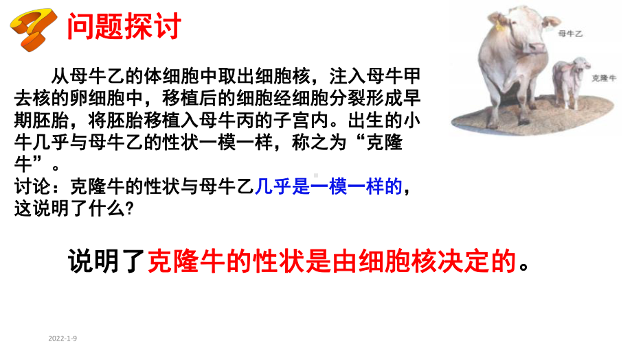 3.3 细胞核的结构和功能（2课时） ppt课件-（新教材）2019新人教版高中生物必修一.pptx_第2页