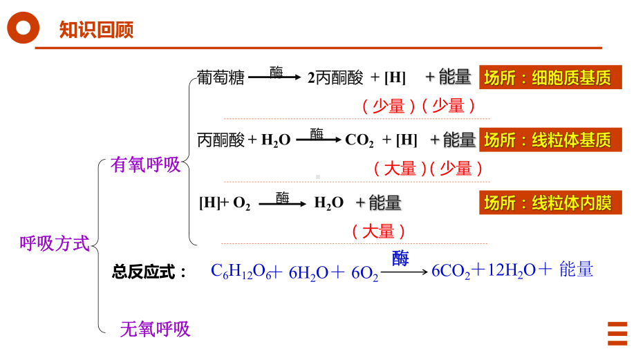 5.3.2 细胞呼吸的原理及应用 ppt课件-（新教材）2019新人教版高中生物必修一.pptx_第2页