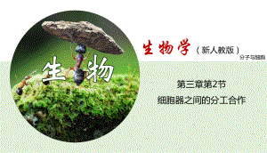 3.2 细胞器之间的分工合作（2课时） ppt课件-（新教材）2019新人教版高中生物必修一.ppt