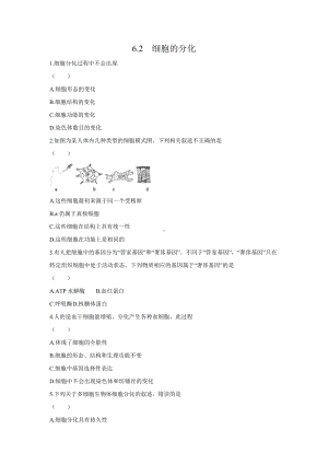 （新教材）2019新人教版高中生物必修一6.2 细胞的分化同步练习.docx