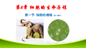 6.1 细胞增殖 第一课时 ppt课件-（新教材）2019新人教版高中生物必修一.pptx