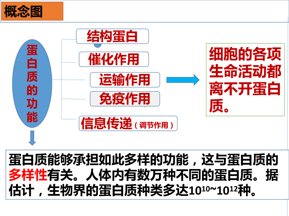 2.4 蛋白质 ppt课件-（新教材）2019新人教版高中生物必修一.pptx_第3页