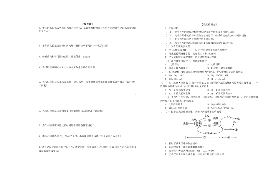 5.4 光合作用的原理与应用（第3课时）导学案-（新教材）2019新人教版高中生物必修一.doc_第2页