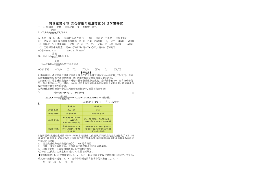 5.4 光合作用的原理与应用（第3课时）导学案-（新教材）2019新人教版高中生物必修一.doc_第3页