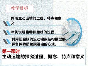 4.2 主动运输与胞吞胞吐 （共3课时） ppt课件-（新教材）2019新人教版高中生物必修一.pptx