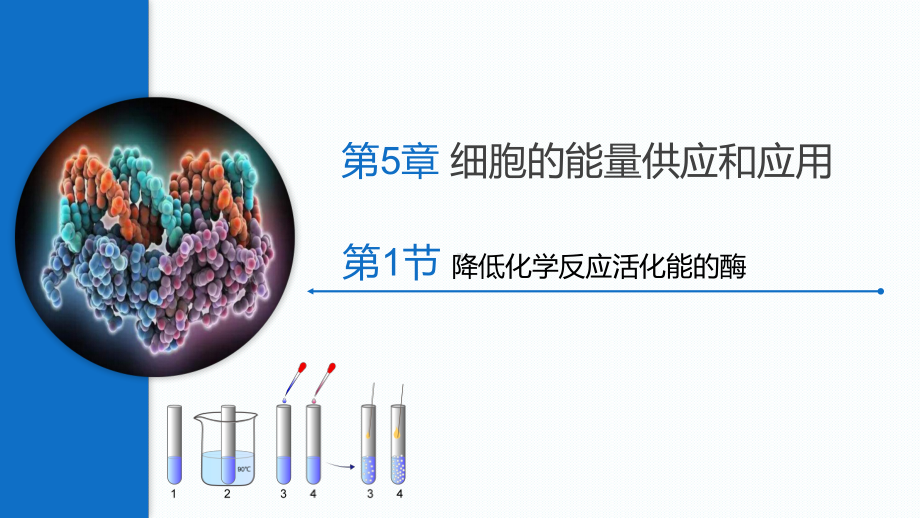 5.1降低化学反应活化能的酶 ppt课件-（新教材）2019新人教版高中生物必修一.pptx_第1页