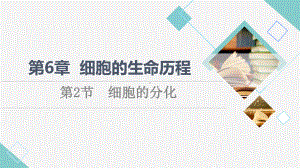 6.2 细胞分化 ppt课件-（新教材）2019新人教版高中生物必修一.pptx