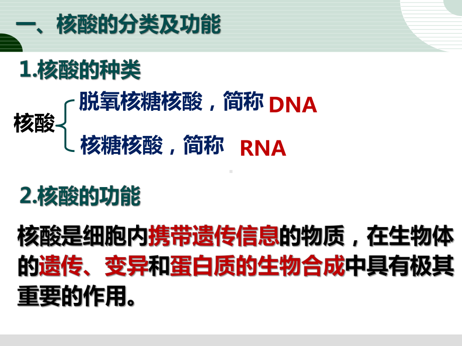 2.3遗传信息的携带者-核酸ppt课件-（新教材）2019新人教版高中生物必修一.pptx_第3页