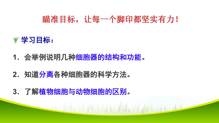 3.2+细胞器之间的分工合作（第一课时）ppt课件-（新教材）2019新人教版高中生物必修一.pptx_第2页