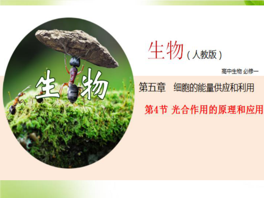 5.4 光合作用的原理与应用 (第4课时) ppt课件-（新教材）2019新人教版高中生物必修一.pptx_第1页