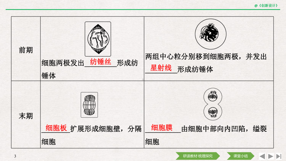 （新教材）2019新人教版高中生物必修一第2课时　动植物细胞有丝分裂的区别与观察根尖分生区组织细胞的有丝分裂ppt课件.pptx_第3页