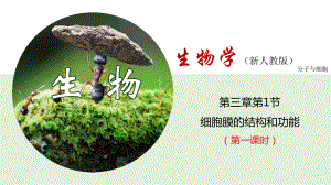 3.1 细胞膜的结构和功能 (2课时) ppt课件-（新教材）2019新人教版高中生物必修一.pptx