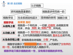 第一、二、三章 期末复习课件（新教材）2020-2021学年高一上学期生物（人教版（2019）必修第一册） .pptx