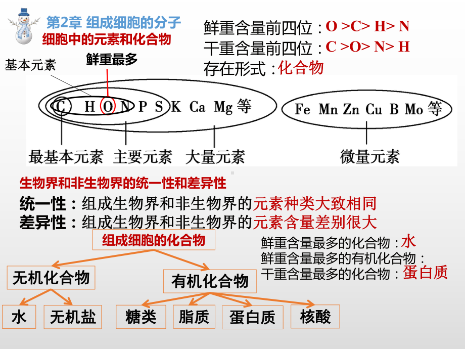 第一、二、三章 期末复习课件（新教材）2020-2021学年高一上学期生物（人教版（2019）必修第一册） .pptx_第3页