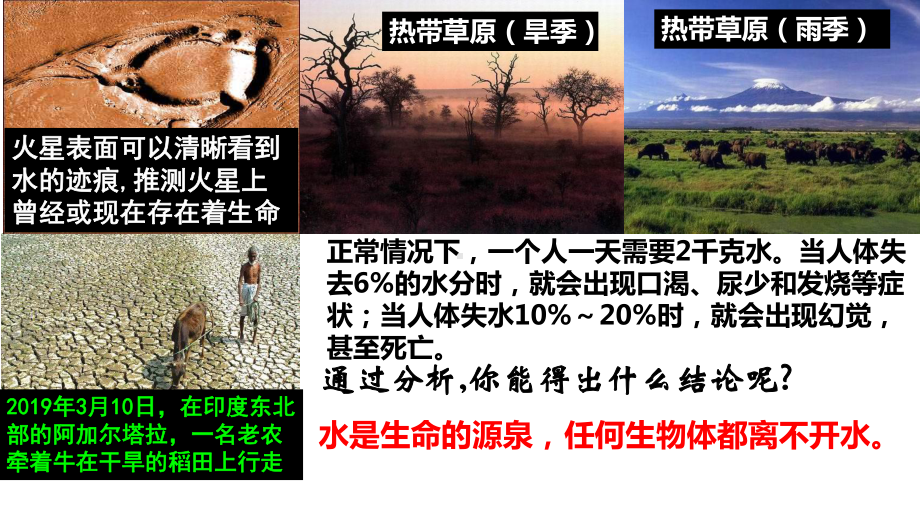 2.2细胞中的无机物ppt课件-（新教材）2019新人教版高中生物必修一.pptx_第2页