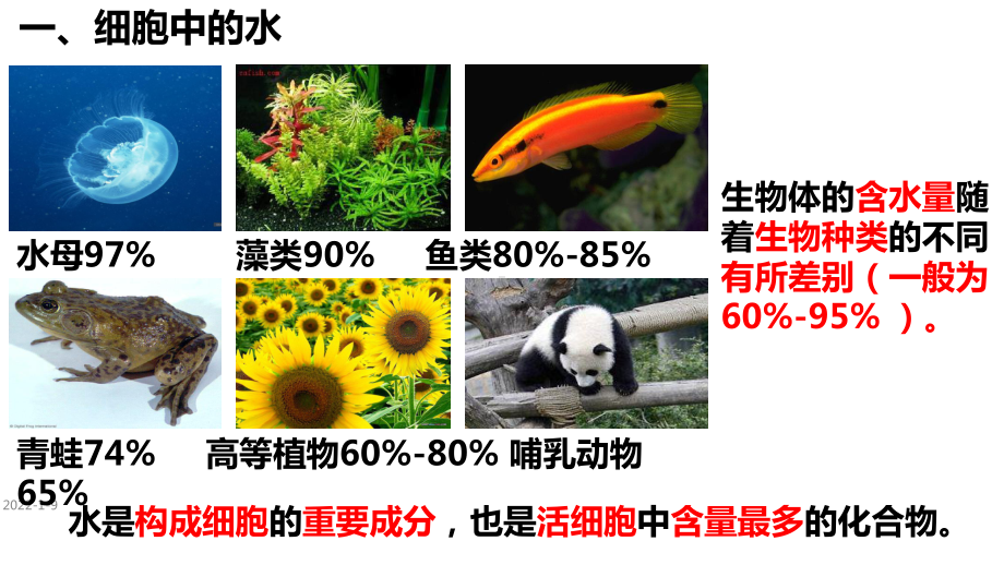 2.2细胞中的无机物ppt课件-（新教材）2019新人教版高中生物必修一.pptx_第3页