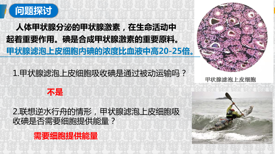 4.2主动运输与胞吞、胞吐 ppt课件-（新教材）2019新人教版高中生物必修一.pptx_第2页