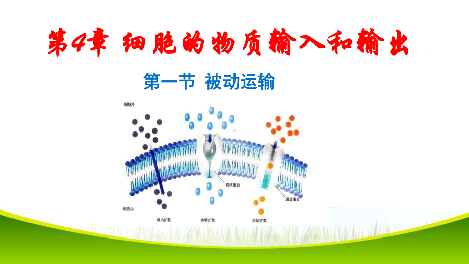 4.1+被动运输+ppt课件-（新教材）2019新人教版高中生物必修一.pptx_第1页