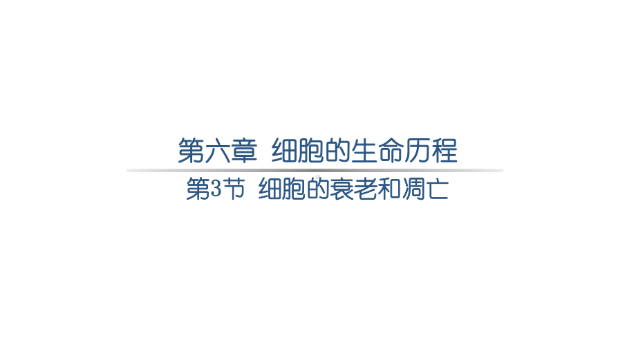 6.3 细胞衰老和凋亡-ppt课件-（新教材）2019新人教版高中生物必修一.pptx_第1页