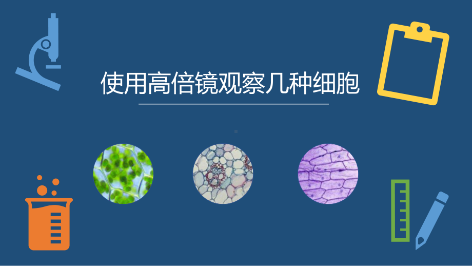 1.2 实验 使用高倍镜观察几种细胞 ppt课件-（新教材）2019新人教版高中生物必修一.pptx_第1页