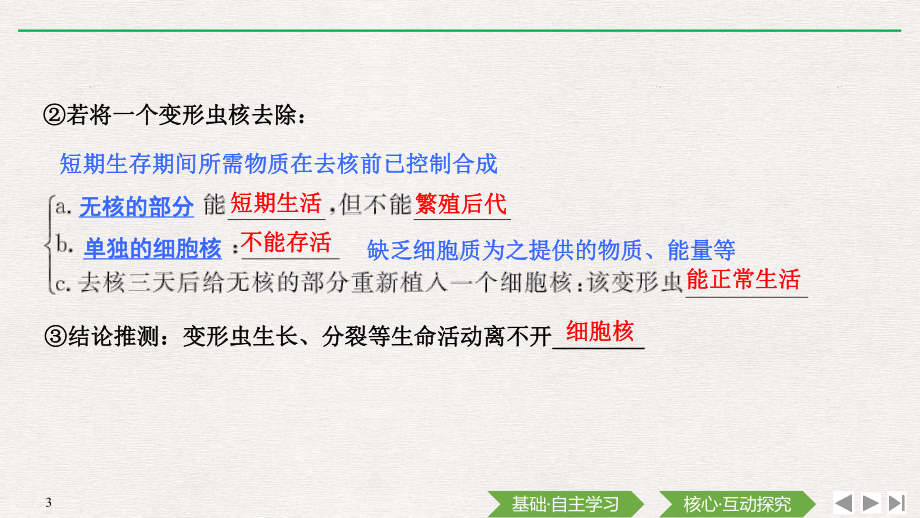 （新教材）2019新人教版高中生物必修一第3节　细胞核的结构和功能ppt课件.pptx_第3页