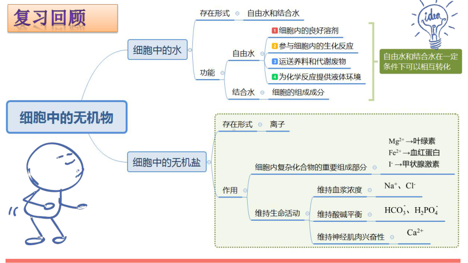 2.3细胞中的糖类和脂质ppt课件-（新教材）2019新人教版高中生物必修一 (2).pptx_第1页