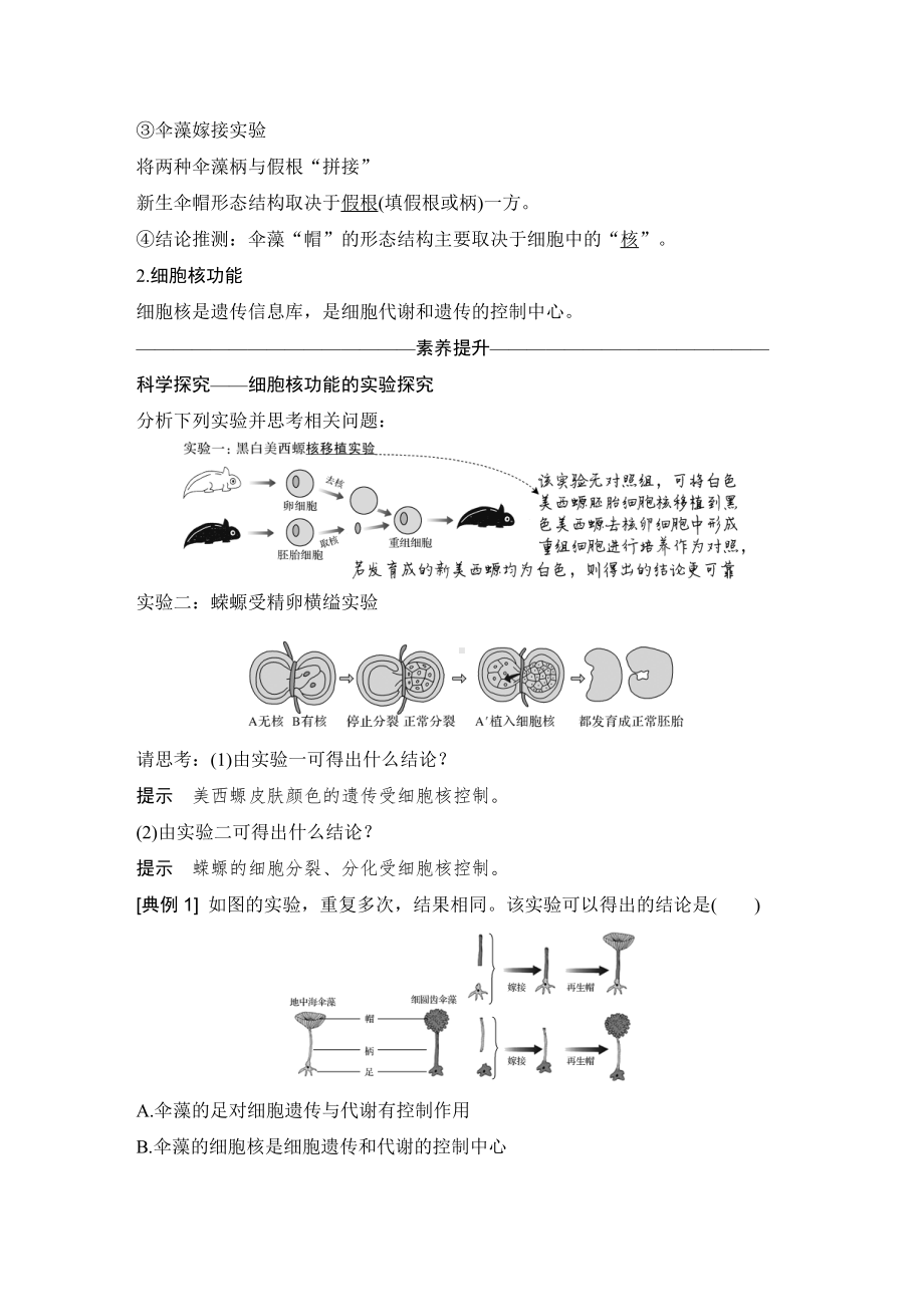 （新教材）2019新人教版高中生物必修一第3节　细胞核的结构和功能练习.doc_第2页