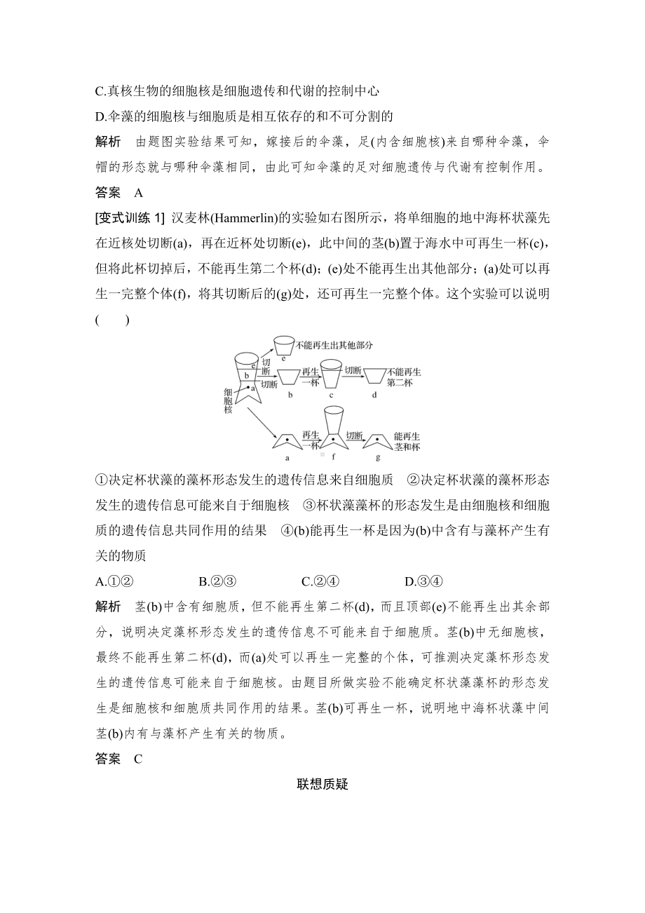 （新教材）2019新人教版高中生物必修一第3节　细胞核的结构和功能练习.doc_第3页