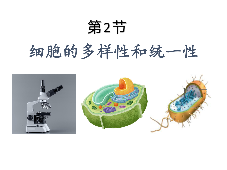 1.2.2 细胞的多样性和统一性 ppt课件-（新教材）2019新人教版高中生物必修一.pptx_第1页