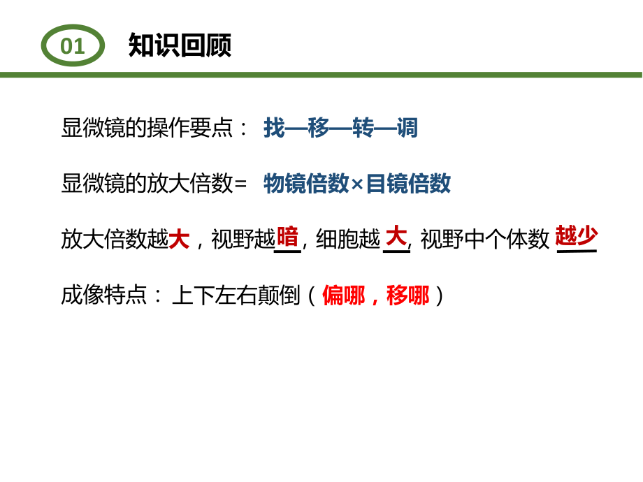 1.2.2 细胞的多样性和统一性 ppt课件-（新教材）2019新人教版高中生物必修一.pptx_第2页