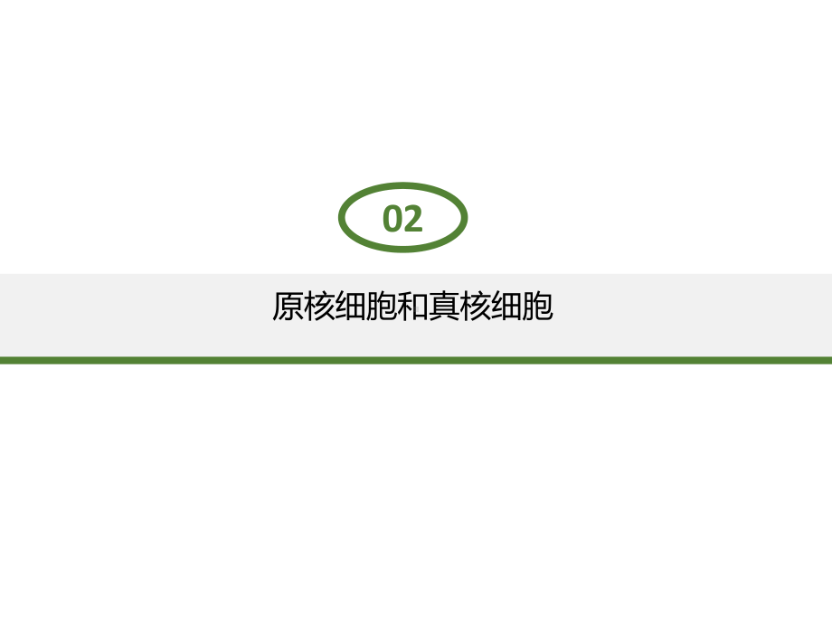 1.2.2 细胞的多样性和统一性 ppt课件-（新教材）2019新人教版高中生物必修一.pptx_第3页