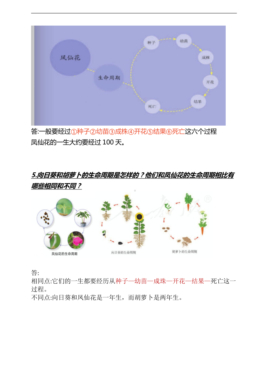 人教鄂教版三年级下册科学第八课《凤仙花的一生》知识点.doc_第2页