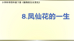 小学科学教科版四年级下册第一单元第8课《凤仙花的一生》课件6（2021新版）.pptx