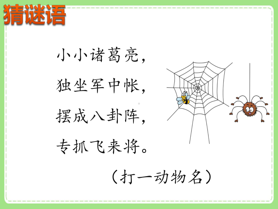 统编教材二年级语文下册《蜘蛛开店》PPT课件.pptx_第2页