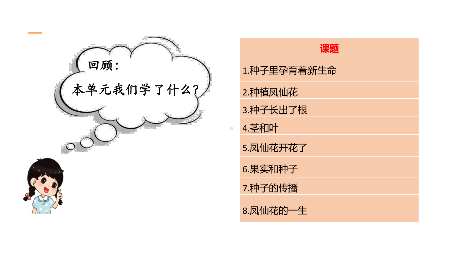 2022新教科版四年级下册科学第一单元植物的生长变化复习ppt课件.pptx_第3页