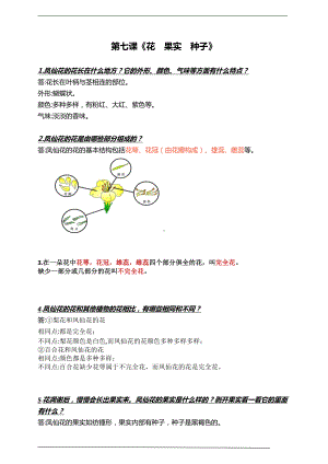 人教鄂教版三年级下册科学第七课《花果实种子》知识点.doc