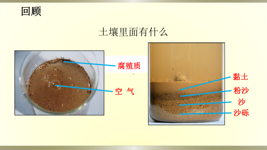 小学科学教科版四年级下册第三单元第7课《比较不同的土壤》课件6（2021新版）.pptx_第2页