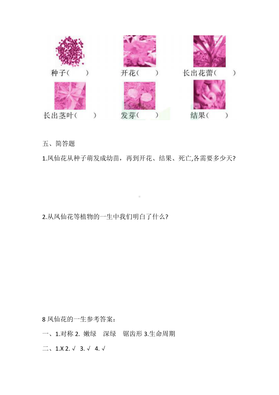 人教鄂教版三年级下册科学2.8 凤仙花的一生 同步练习（含答案）.doc_第3页