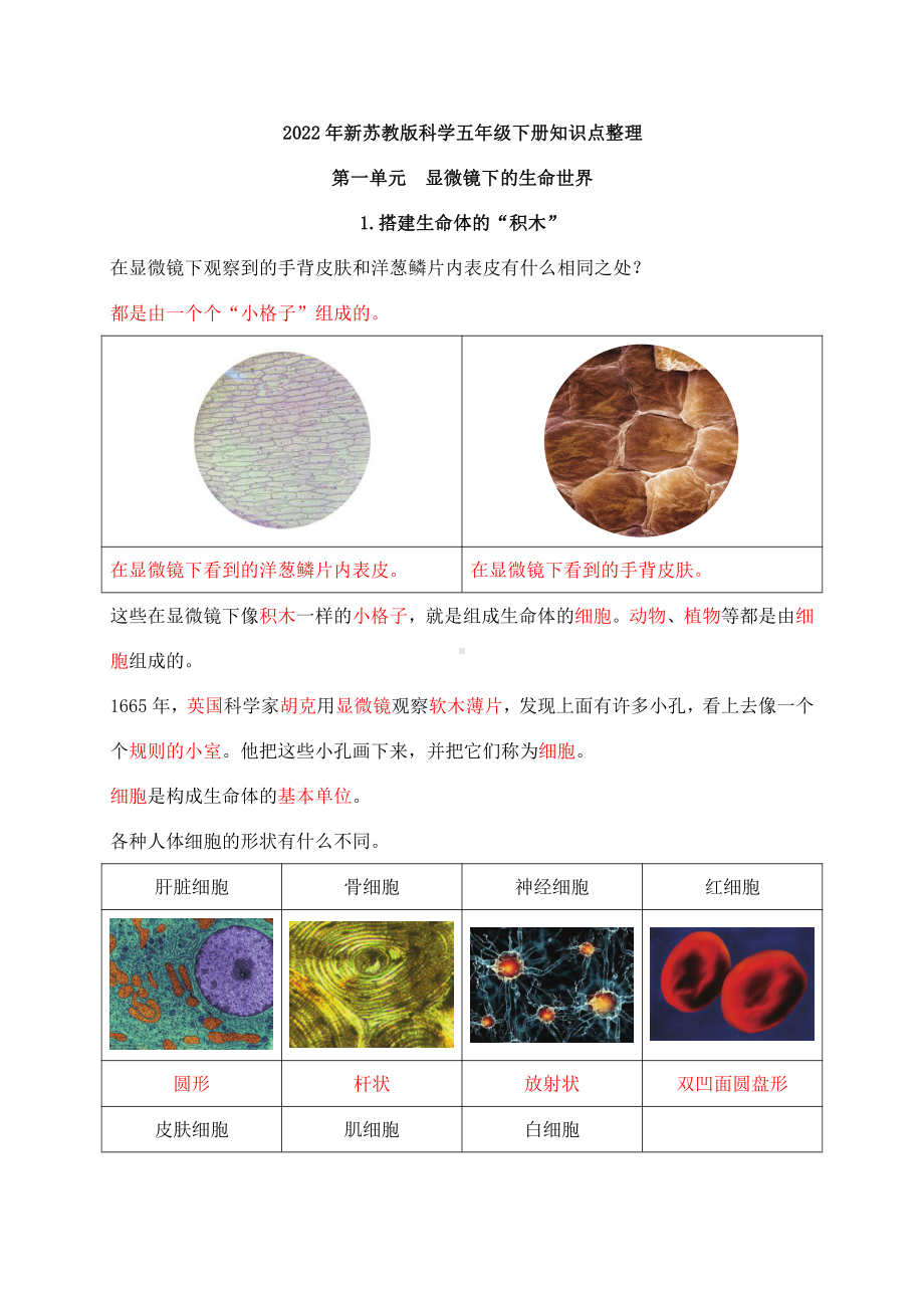 2022年新苏教版《科学》五年级下册知识点整理（期末复习背诵资料）.docx_第1页