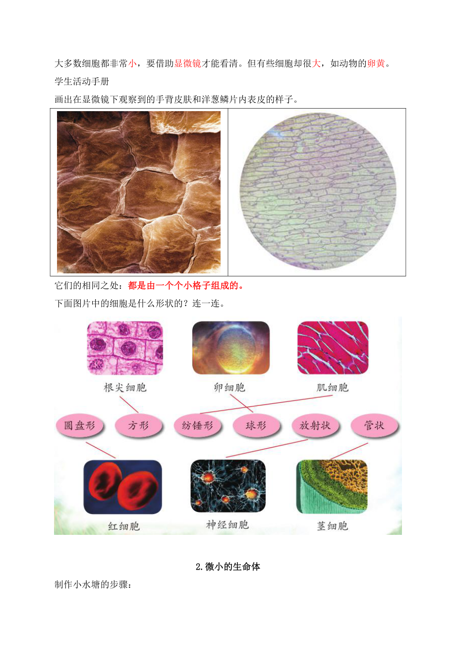 2022年新苏教版五年级下册科学第1-2单元知识点整理.docx_第2页