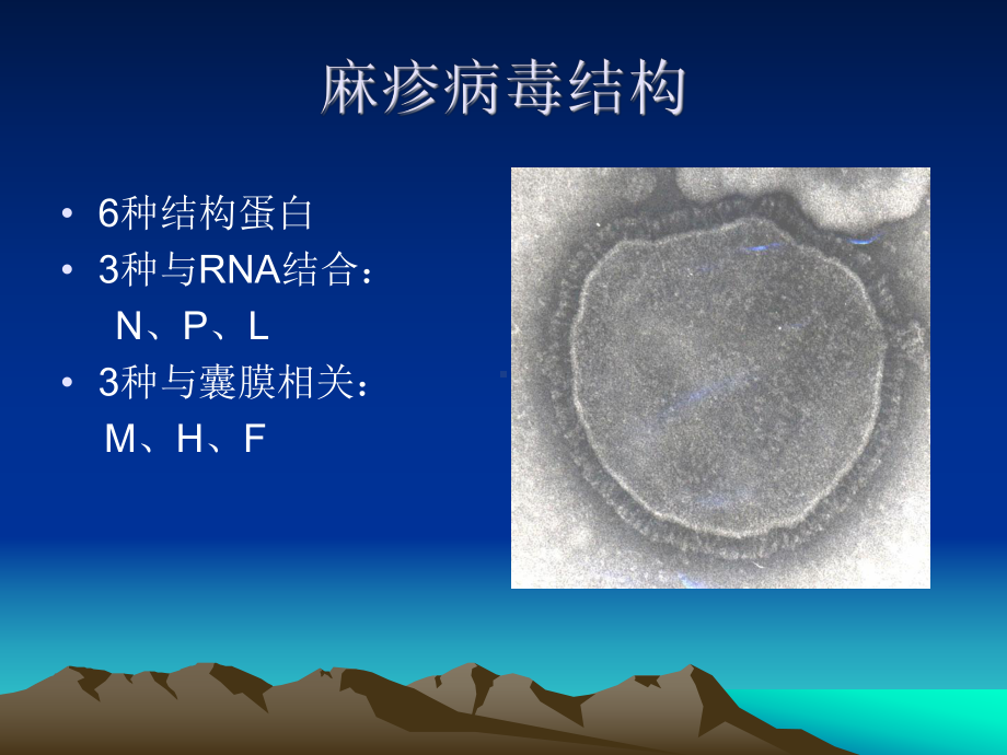 儿科课件：麻疹.ppt_第3页