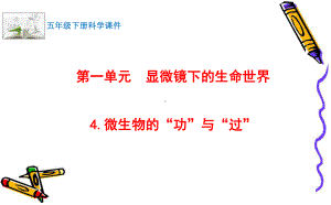 2022最新苏教版科学五年级下册4.微生物的“功”与“过” 课件.pptx