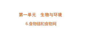 2022新教科版五年级下册科学1.6食物链和食物网ppt课件(02).pptx