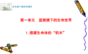 2022最新苏教版科学五年级下册1.搭建生命体的“积木” 课件.pptx