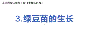 2022新教科版五年级下册科学1.3绿豆苗的生长ppt课件(02).pptx